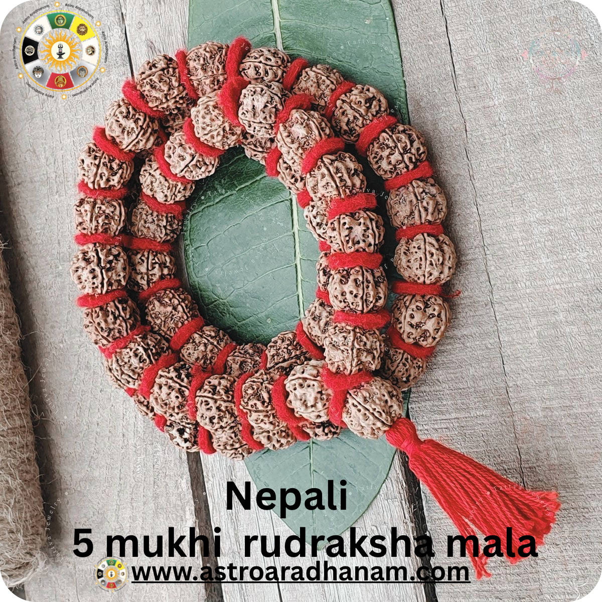 Nepali 5 Mukhi Rudraksha Mala