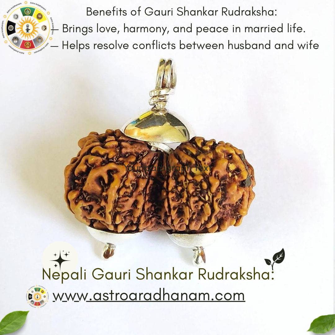 Nepali Gauri Shankar Rudraksha