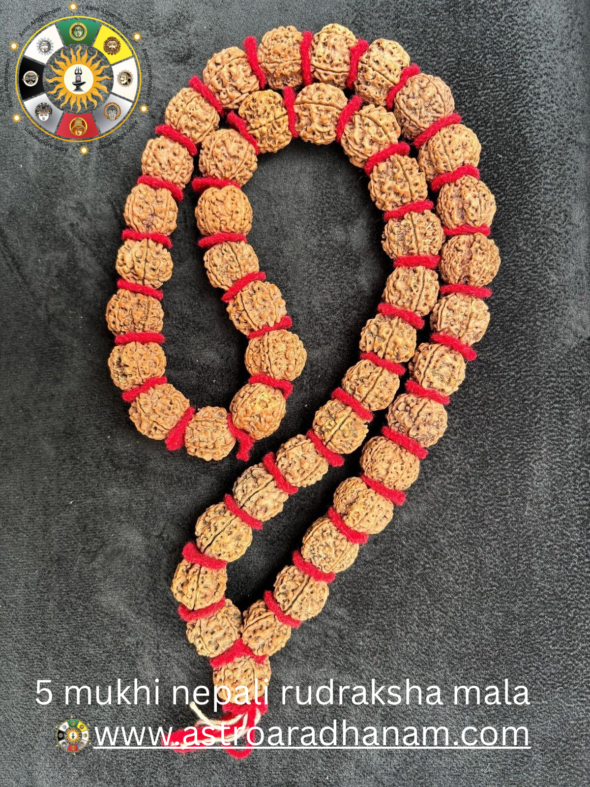Nepali 5 Mukhi Rudraksha Mala